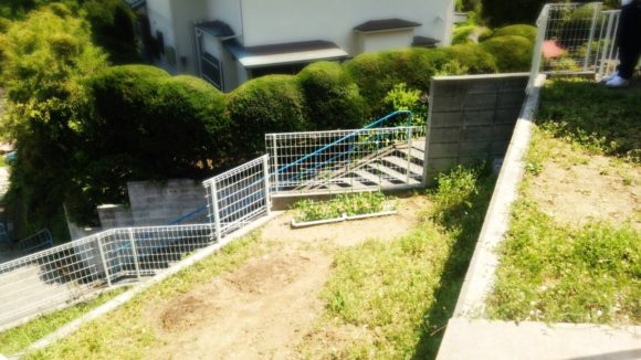 ミニ菜園をしたりプールをしたり!きっずはんど