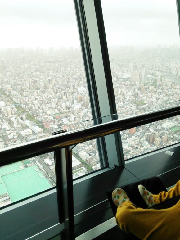 スカイツリーからの眺め