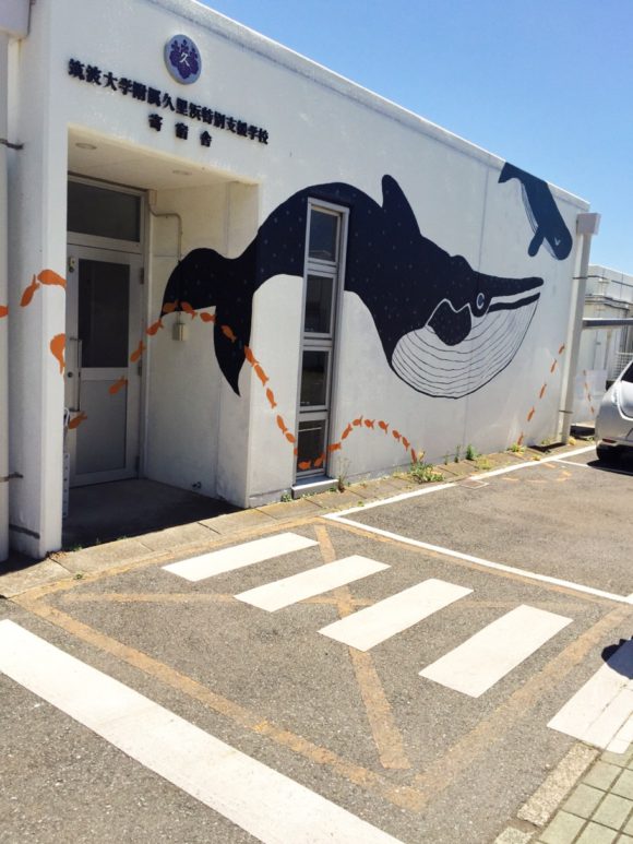 筑波附属寄宿舎の壁画