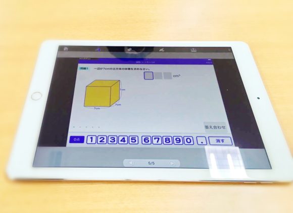 国立特別支援教育総合研究所