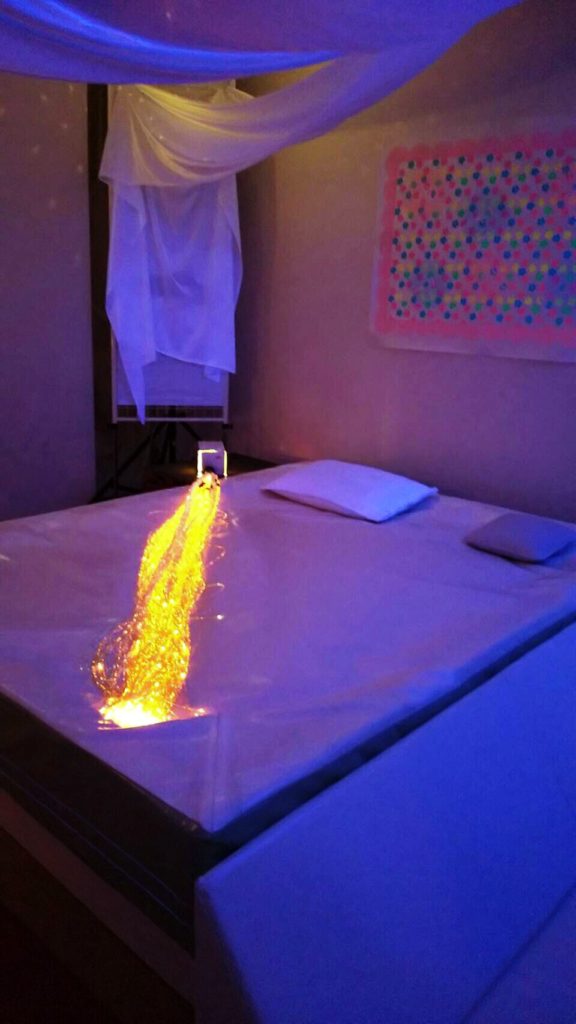 国立特別支援教育総合研究所