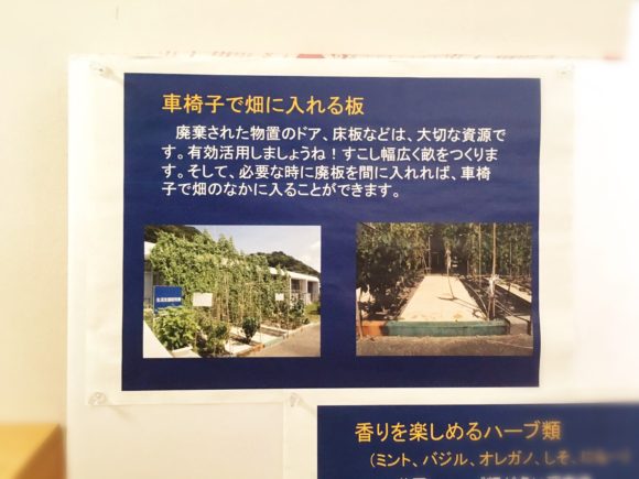 国立特別支援教育総合研究所