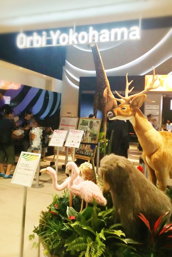 オービィ横浜